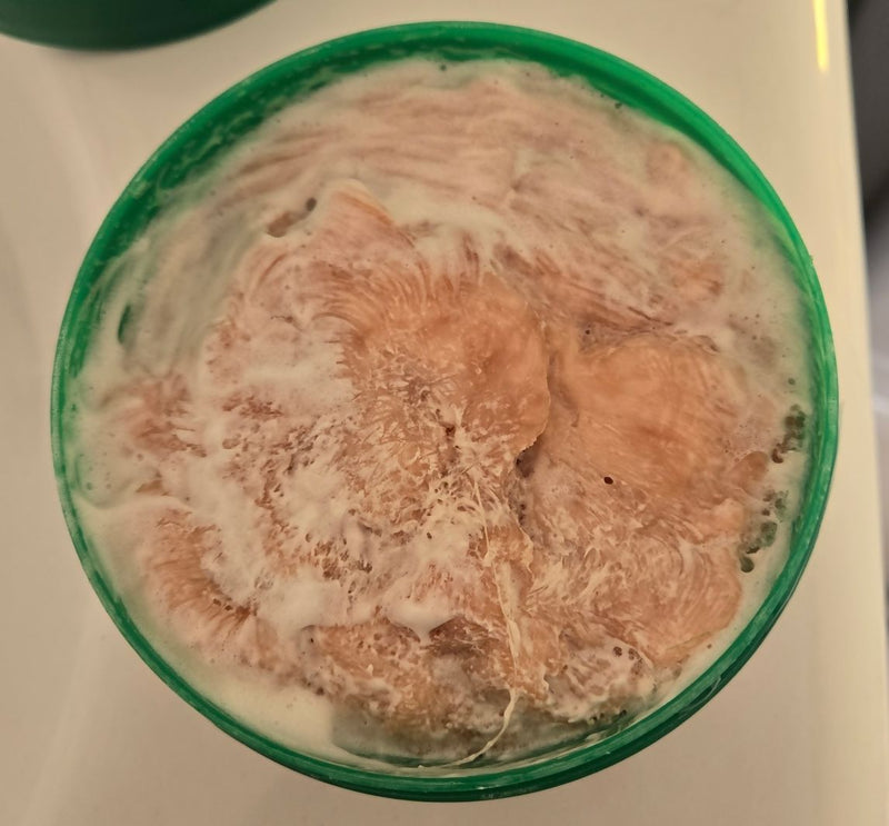 Stirling Soap Light-ish Red shave soap Shaving Soap templecat 