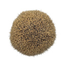 Chubby 2 (27mm Manchurian Badger) Shaving Brush CH2 - by Simpsons (Somerset Pre-Owned) Shaving Brush Murphy & McNeil Pre-Owned Shaving 