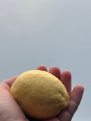 *NEW* Lemon Soap, Goat Milk Based Bath Soap Soaplandia Soap Store 