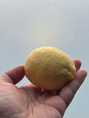 *NEW* Lemon Soap, Goat Milk Based Bath Soap Soaplandia Soap Store 