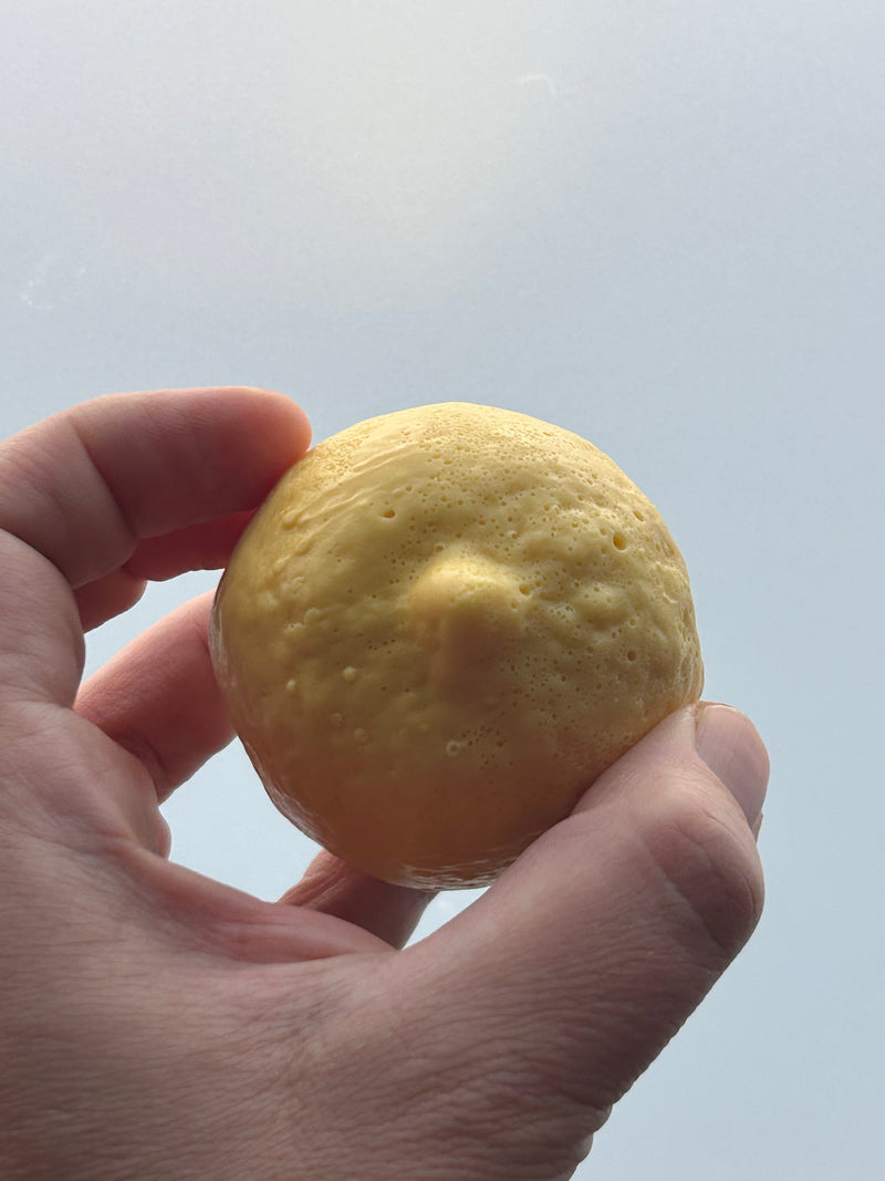 *NEW* Lemon Soap, Goat Milk Based Bath Soap Soaplandia Soap Store 