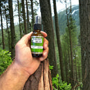 Fresh Clean Aloe-Natural Hand Sanitizer Hand Sanitizer SUDSY BEAR SOAP COMPANY 