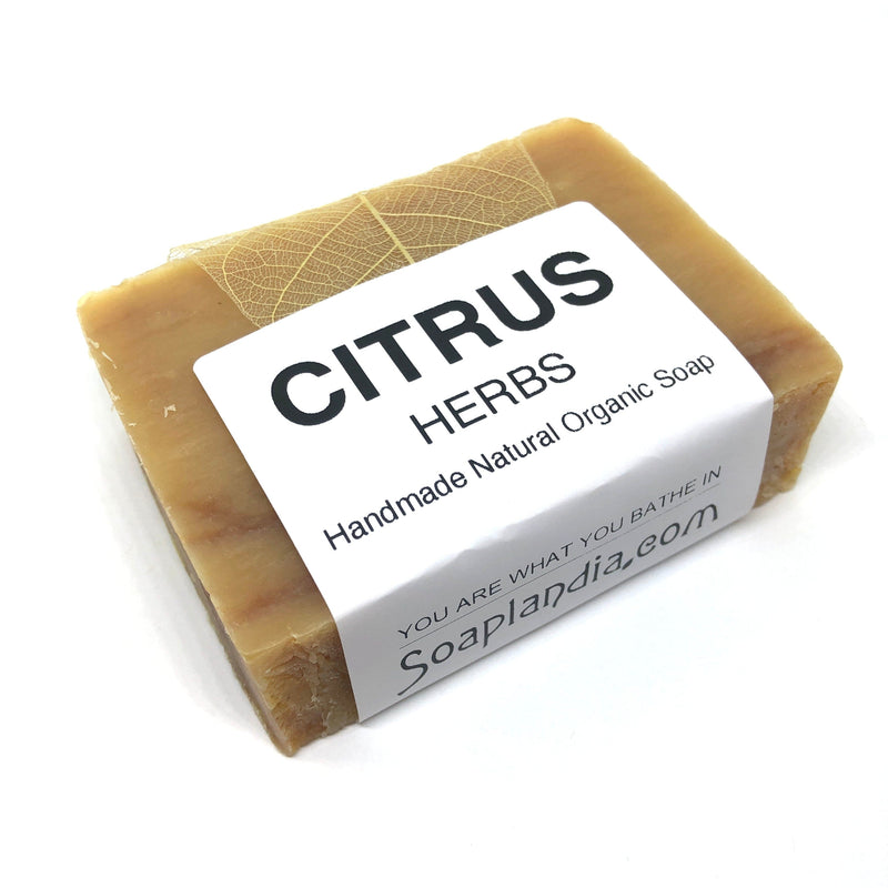 Citrus Herbs Bar Soap, Organic Bath Soap Soaplandia Soap Store 
