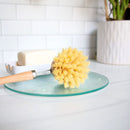 Wooden Scrub Brush Grooming Tools Love of Earth Co. 