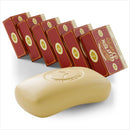 Bay Rum Castile Bar Soap Bath Soap Carolina Castile Soap 6 Pack 