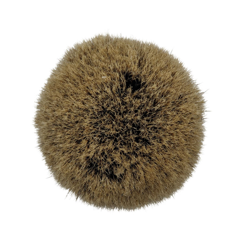 Beacon Pure Badger Shaving Brush (Ivory, 24mm) - by West Coast Shaving (Used) Shaving Brush MM Consigns (SW) 