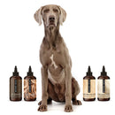 THE WASH SAMPLE PACK — Try PRIDE+GROOM's Best-Selling Dog Shampoos & Conditioner Artisan Pet Products PRIDE+GROOM 