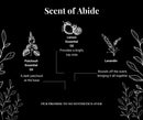 Abide Beef Tallow Shaving Soap Shaving Soap The Sudsy Soapery Natural Products, LLC 