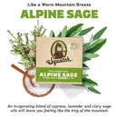 Dr. Squatch Alpine Sage Bar Soap Bath Soap The Strawberry Shop 