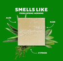 Dr. Squatch Cool Fresh Aloe Bar Soap Bath Soap The Strawberry Shop 