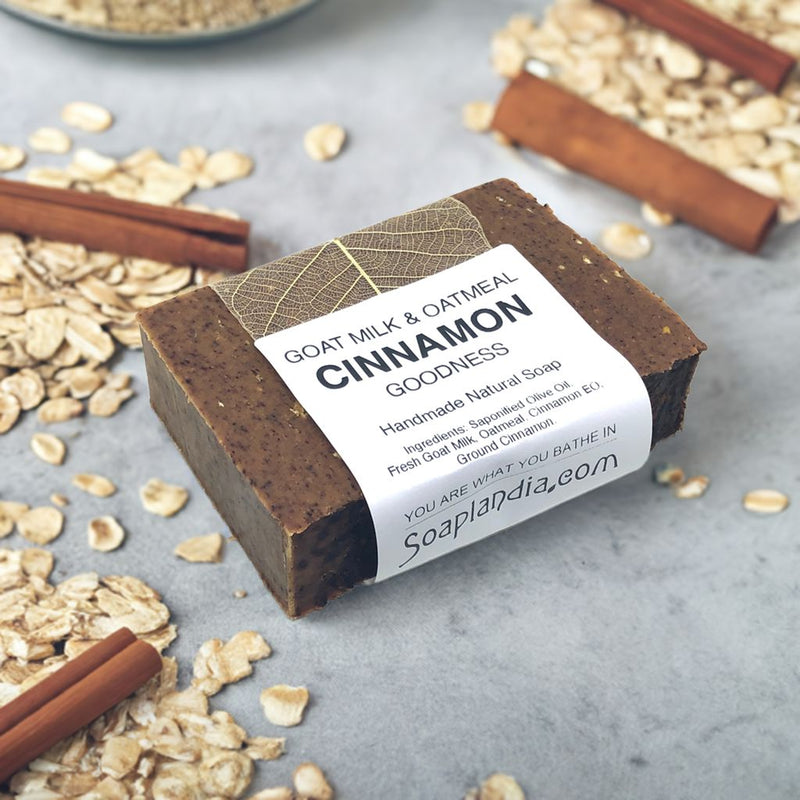 Goat Milk & Oatmeal Cinnamon Goodness Soap Bath Soap Soaplandia Soap Store 