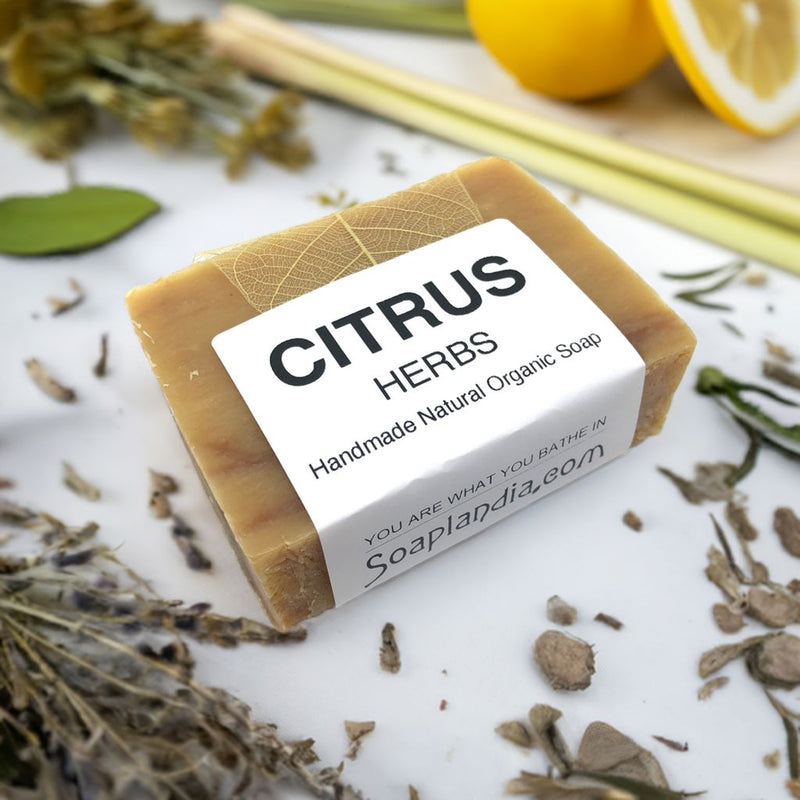 Citrus Herbs Bar Soap, Organic Bath Soap Soaplandia Soap Store 