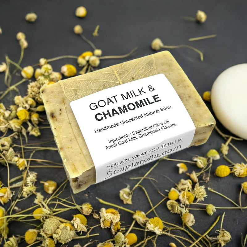 Goat Milk & Olive Oil Bar Soap with Chamomile, Unscented Bath Soap Soaplandia Soap Store 
