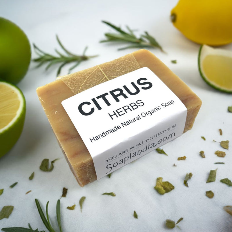 Citrus Herbs Bar Soap, Organic Bath Soap Soaplandia Soap Store 