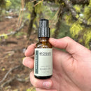 Grand Fir Beard Oil Beard Balms & Butters Rogue Evergreens 