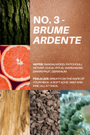 Les Deux Fragrances Brume Ardente Candle