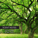 Aftershave Gel For Face and Body - Whish Golf Club Aftershave Balm whish beauty 