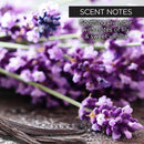 Lavender Sugar Scrub Body Wash whish beauty 