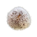 Alloy Synthetic Shaving Brush 22mm (Pre-Owned) Shaving Brush Murphy & McNeil Pre-Owned Shaving 