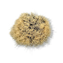 Hereditas Pure Bristle Shaving Brush 830 (22mm) - by Semogue (Pre-Owned) Shaving Brush Murphy & McNeil Pre-Owned Shaving 