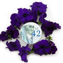 42 Limited Edition Shaving Soap (Omnibus) - by Barrister and Mann Shaving Soap Murphy and McNeil Store 