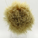 Boar Shaving Brush (Blue 10108) - by Omega (Pre-Owned) Shaving Brush Murphy & McNeil Pre-Owned Shaving 