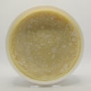 Cashmere Shaving Soap - by Wickham Soap Co. (Pre-Owned) Shaving Soap Murphy & McNeil Pre-Owned Shaving 