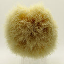 Owners Club Boar Shaving Brush (Ivory) - by Semogue (Pre-Owned) Shaving Brush Murphy & McNeil Pre-Owned Shaving 