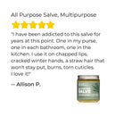 All Purpose Salve, Multipurpose Herbal Salve Skin Care Ora's Amazing Herbal 