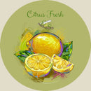Citrus Fresh Tallow Shaving Soap - by E&S Rasage Traditionnel Shaving Soap Murphy and McNeil Store 