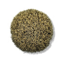 Thin Blue Line Shaving Brush (Finest Badger, 24mm) - by Shave Nation (Pre-Owned) Shaving Brush Murphy & McNeil Pre-Owned Shaving 